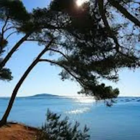 Appartement Cosy A 50 M De La Plage Et Du Port Mèze Exterior foto