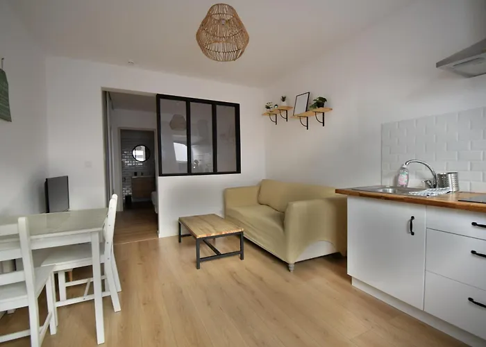 Appartement Cosy A 50 M De La Plage Et Du Port